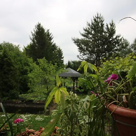 Do Wynajecia Séjour chez l'habitant Giżycko